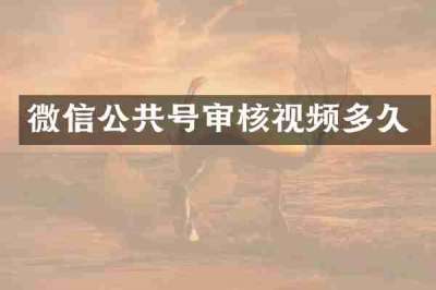 微信公共号审核视频多久