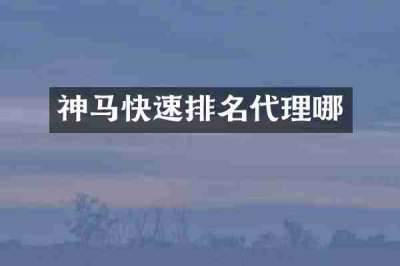 神马快速排名代理哪