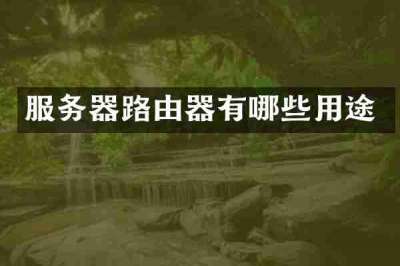 服务器路由器有哪些用途