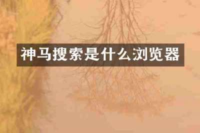 神马搜索是什么浏览器