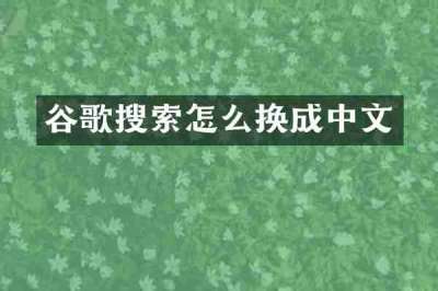 谷歌搜索怎么换成中文