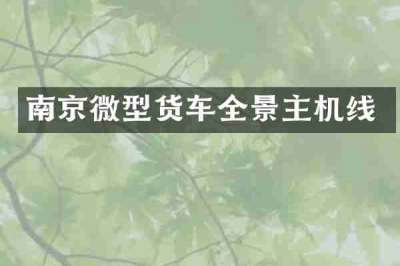 南京微型货车全景主机线