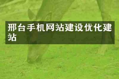 邢台手机网站建设优化建站