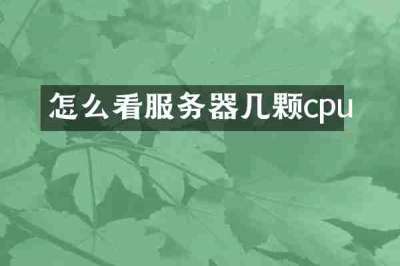 怎么看服务器几颗cpu