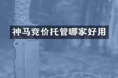神马竞价托管哪家好用