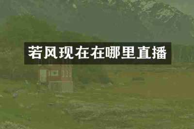 若风现在在哪里直播
