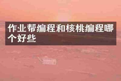 作业帮编程和核桃编程哪个好些