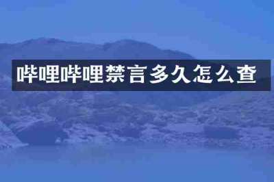 哔哩哔哩禁言多久怎么查