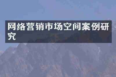 网络营销市场空间案例研究