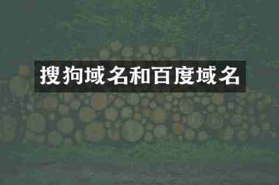搜狗域名和百度域名