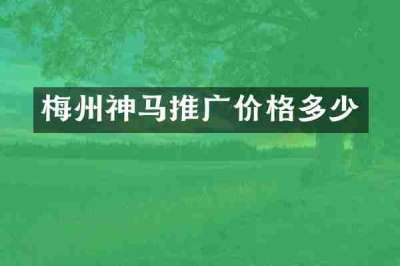梅州神马推广价格多少