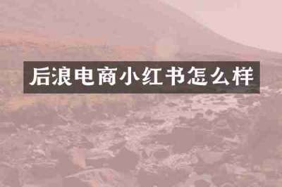 后浪电商小红书怎么样