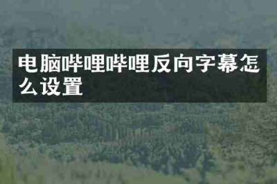 电脑哔哩哔哩反向字幕怎么设置