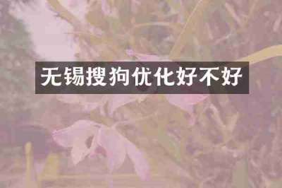 无锡搜狗优化好不好