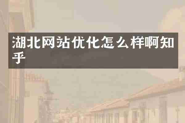 湖北网站优化怎么样啊知乎