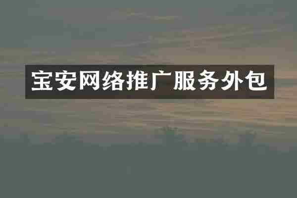 宝安网络推广服务外包