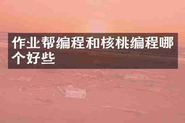 作业帮编程和核桃编程哪个好些