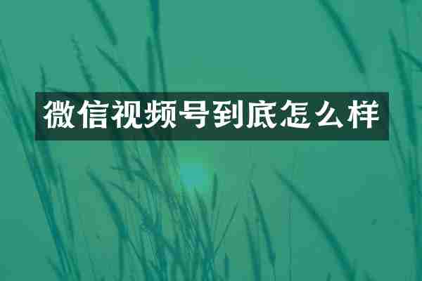 微信视频号到底怎么样