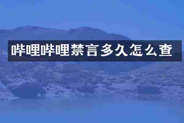 哔哩哔哩禁言多久怎么查