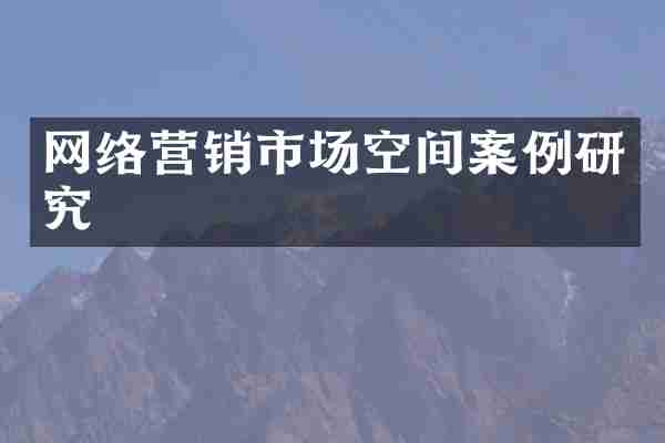 网络营销市场空间案例研究