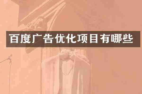 百度广告优化项目有哪些