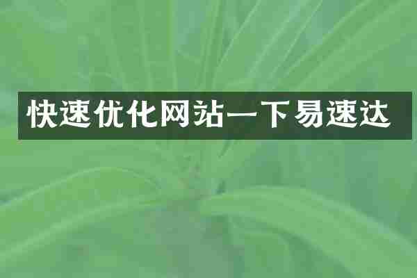 快速优化网站一下易速达