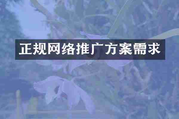 正规网络推广方案需求
