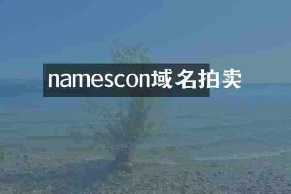namescon域名拍卖