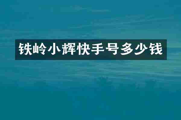 铁岭小辉快手号多少钱
