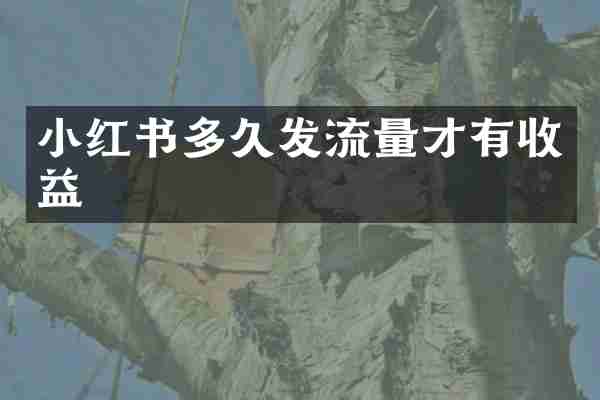 小红书多久发流量才有收益