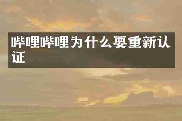 哔哩哔哩为什么要重新认证