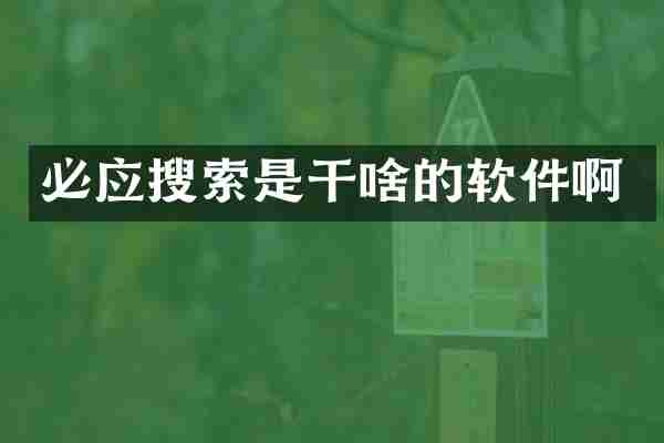 必应搜索是干啥的软件啊