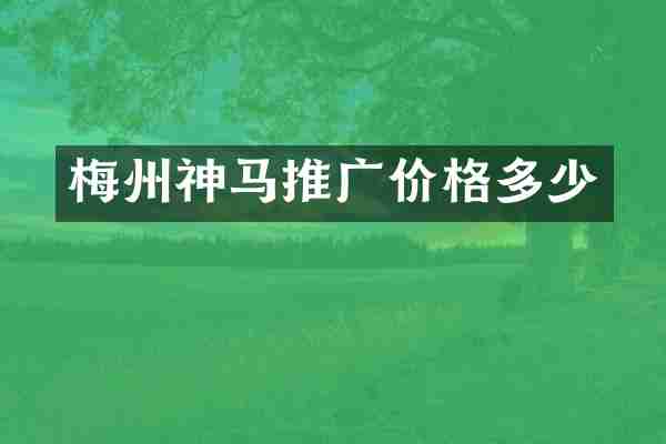 梅州神马推广价格多少