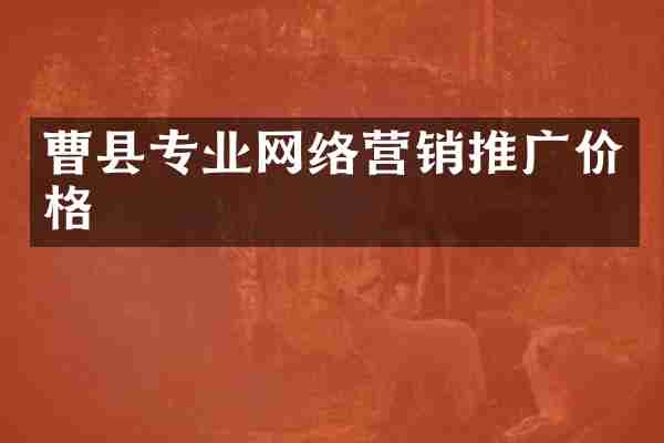 曹县专业网络营销推广价格