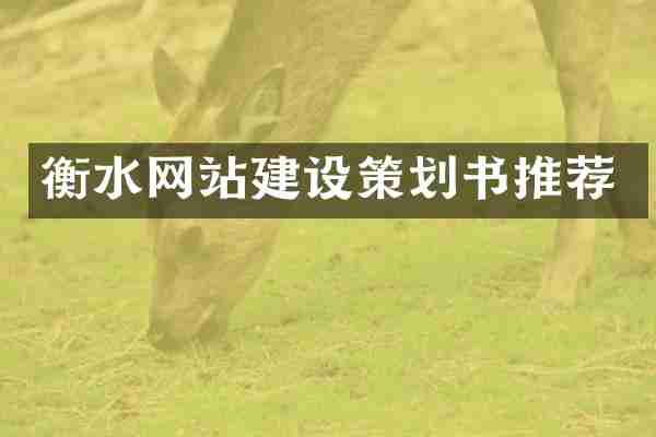 衡水网站建设策划书推荐