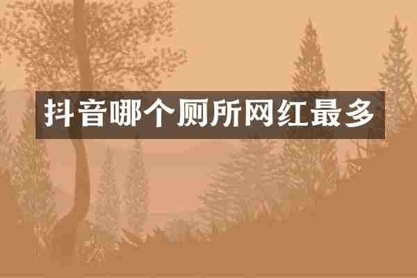 抖音哪个厕所网红最多