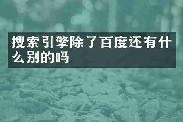 搜索引擎除了百度还有什么别的吗