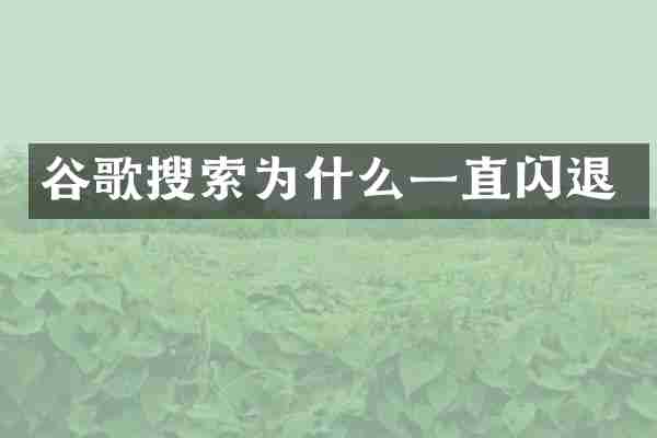 谷歌搜索为什么一直闪退