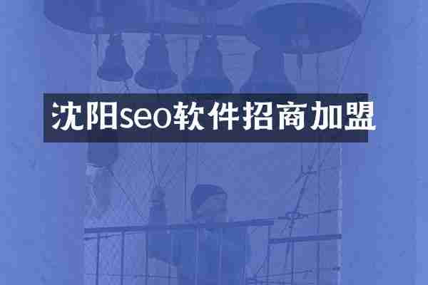 沈阳seo软件招商加盟