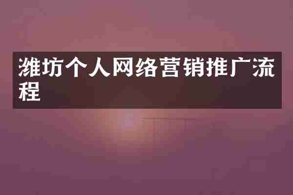 潍坊个人网络营销推广流程