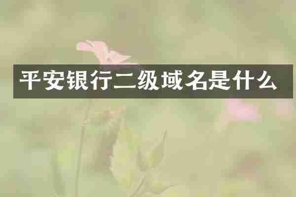 平安银行二级域名是什么
