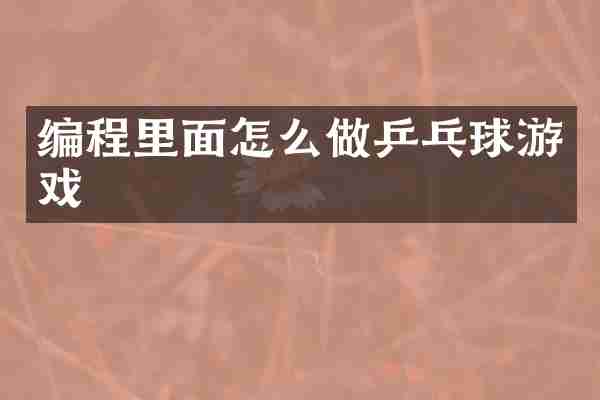 编程里面怎么做乒乓球游戏