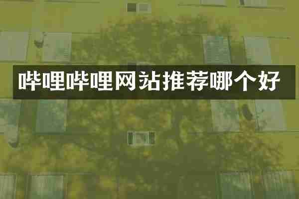 哔哩哔哩网站推荐哪个好