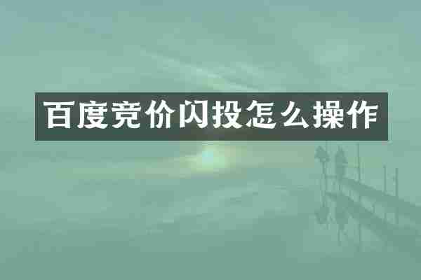 百度竞价闪投怎么操作