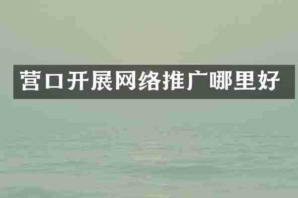 营口开展网络推广哪里好