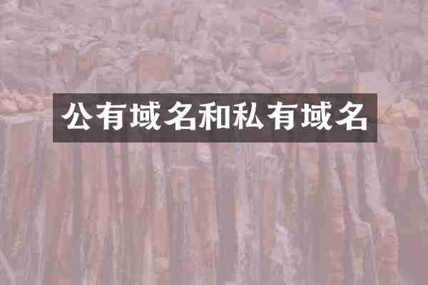 公有域名和私有域名