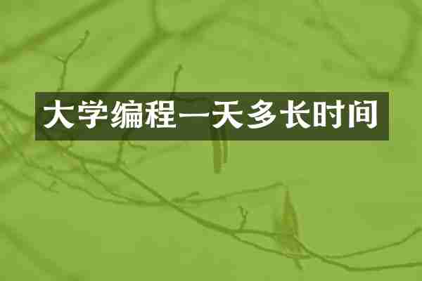 大学编程一天多长时间
