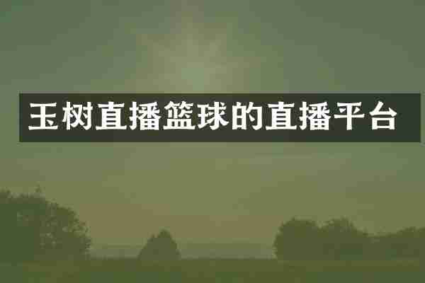 玉树直播篮球的直播平台