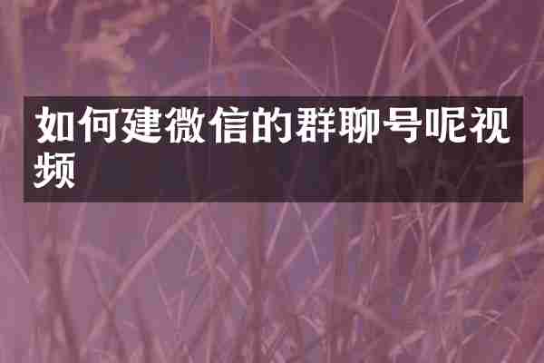 如何建微信的群聊号呢视频
