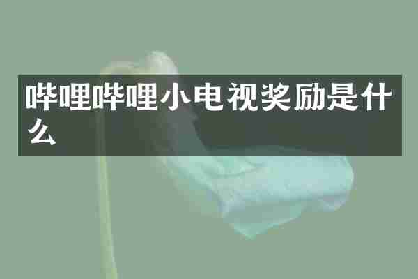 哔哩哔哩小电视奖励是什么